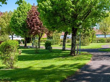 Shaded spots under the trees
