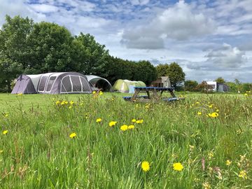 Electric grass pitches overlooking the play area