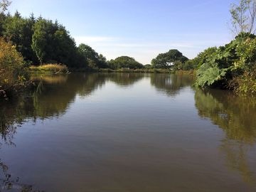View of the river