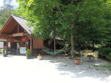 Entrance and reception