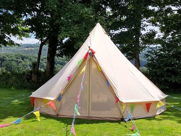 Bell tent among oak trees