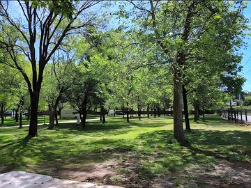 Pitches among the trees