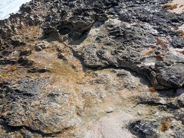 Rocks at the beach