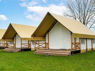 Safari tents