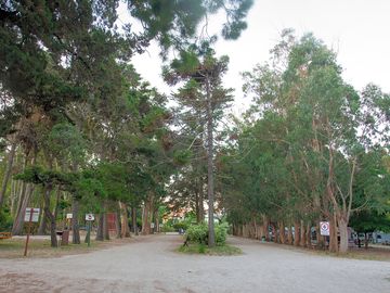 Main avenue on the site