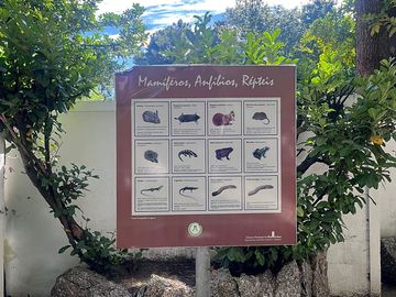 Animals of the local fauna