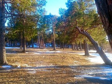 Views of the campsite