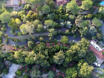 Looking down on the site