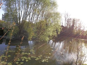 Lake