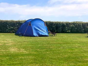 Grass pitches