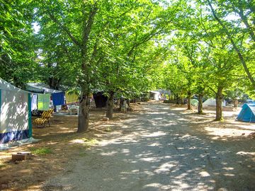 Shaded pitches