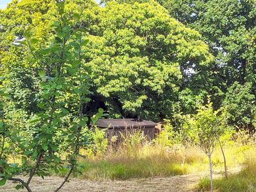 Shepherd's hut in a quiet corner of the orchard