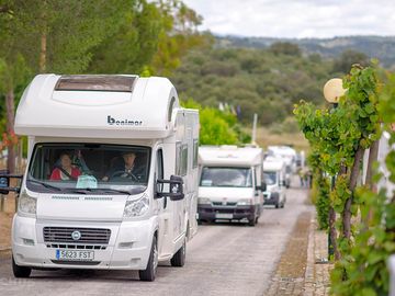 Motorhomes