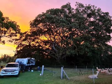 Sunset over the farm