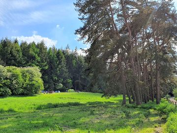 Spacious meadow pitches