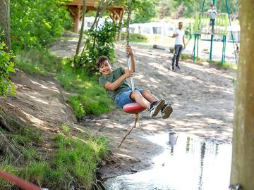 Woodland fun