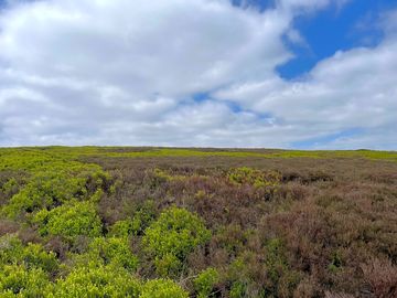 The top of langsett reservoir