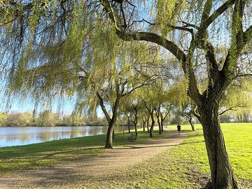 Waterfront trails
