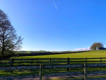 View from the field