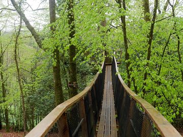 Suspended bridge