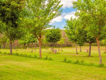 Well-kept grass pitches