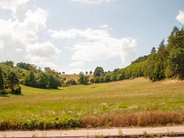 Site views