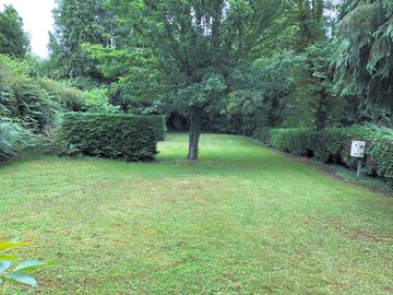 Pitches among the trees