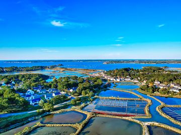 Oyster beds