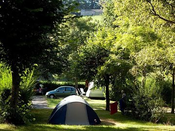 Tents under the trees