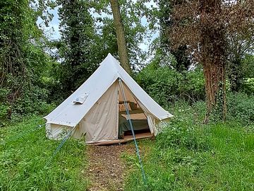 Secluded pitch surrounded by lush greenery