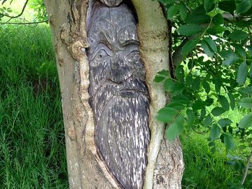 Someone is watching you...