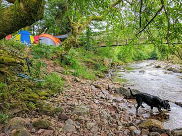 Riverside camping