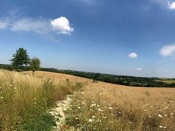 Summer on the footpath