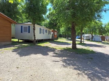 Pitches with trees
