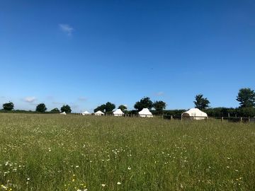 Glamping area
