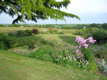 The garden