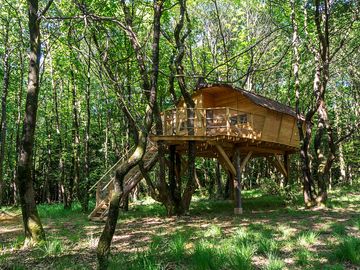 Tinto treehouse surrounded by trees