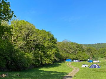 Spacious pitches with plenty of greenery