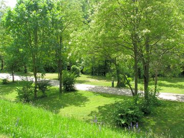 Sunny and shaded pitches surrounded by greenery