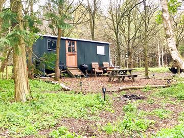 Cabin in the woodlands