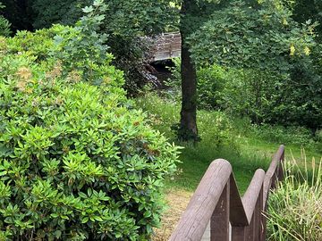 Around the site