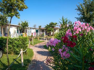 Outside the holiday homes