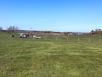 View from camping field