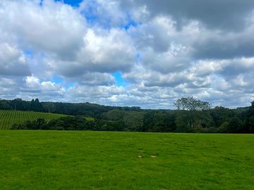 Surrounded by trees and fields