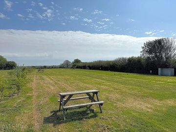 Grass and earth pitch
