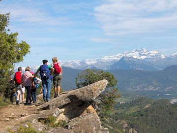 Cerro coton
