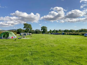 Visitor image of the excellent pitches