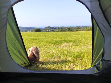 Pitch with views