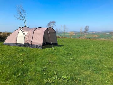 Pitched tent in camping field