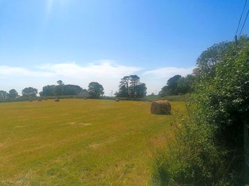 Rural scenery
